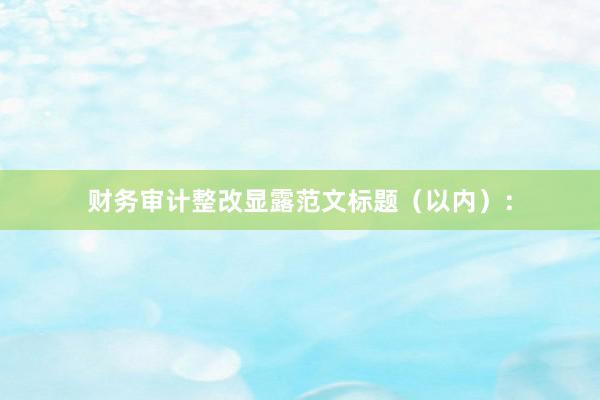 财务审计整改显露范文标题（以内）：